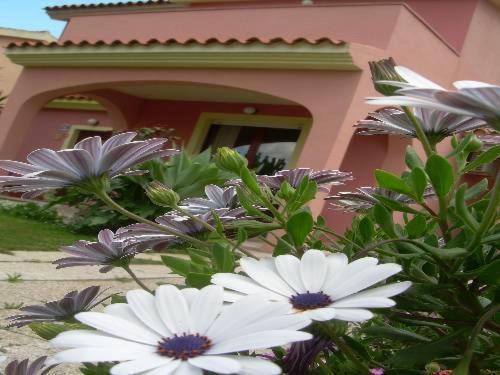 Ariedo Bed And Breakfast Capoterra Szoba fotó